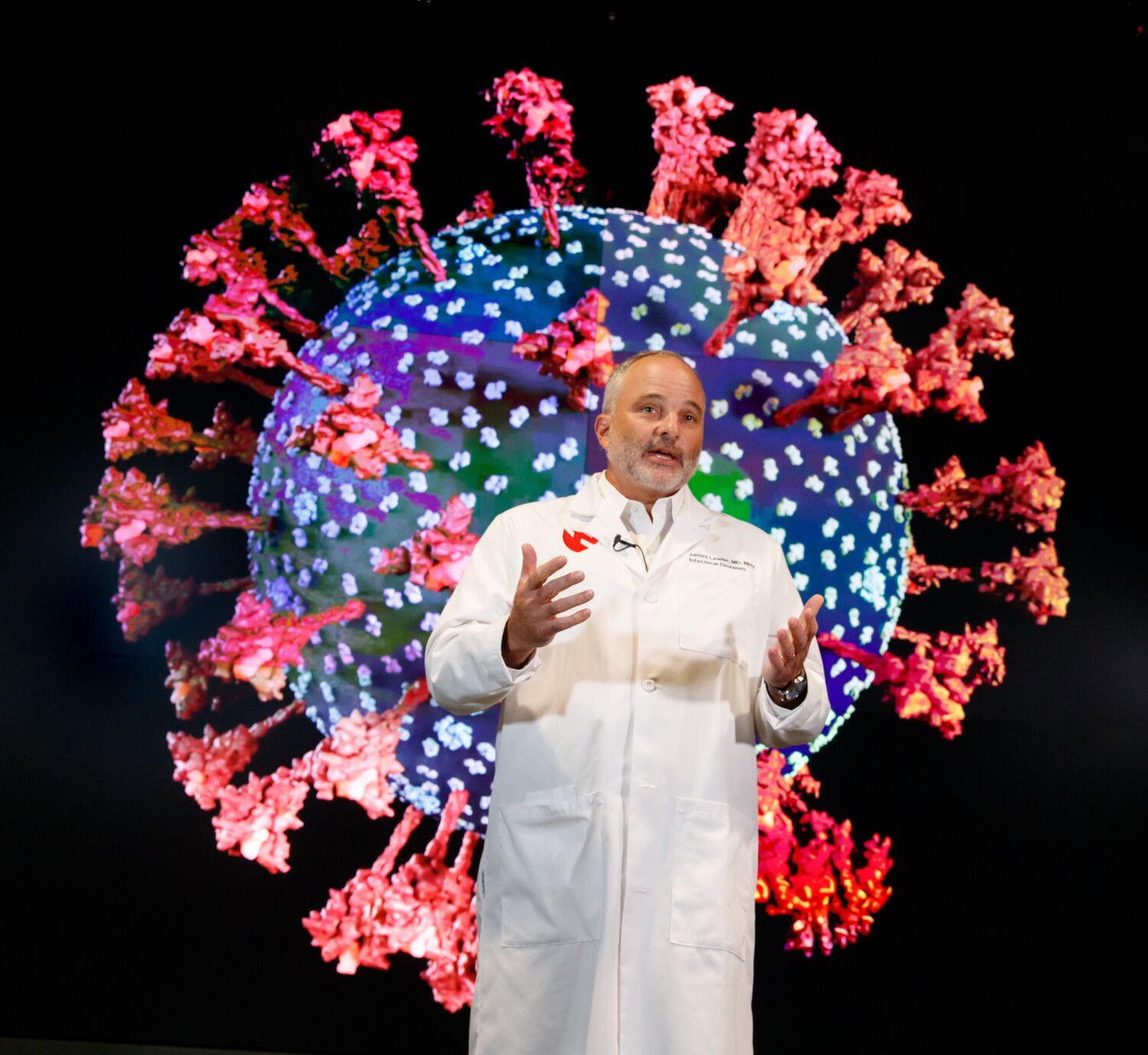 Giant coronavirus image
